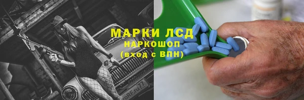 стафф Надым