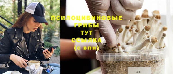 apvp Аркадак